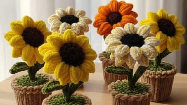 WhatsApp-Image-2025-12-29-at-7.37.10-PM-10