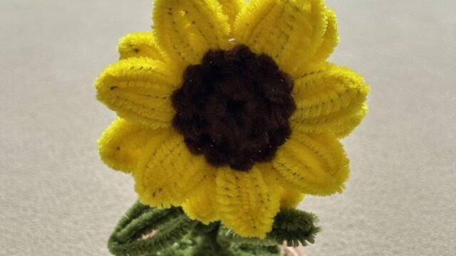 WhatsApp-Image-2025-12-29-at-7.37.10-PM-9